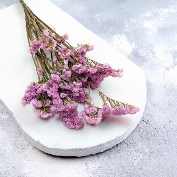 Stabiliseret Limonium sinuatum - Pink