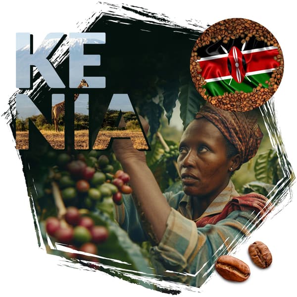 Kaffebönor CAFEIERE Arabica Kenya AA, 500 g