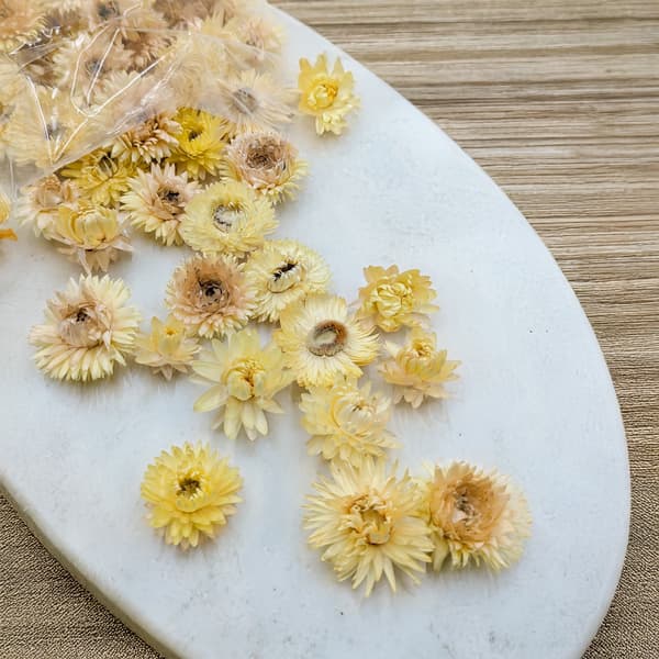 Kuivatut Helichrysum-kukat - (Helichrysum) - Sitruuna