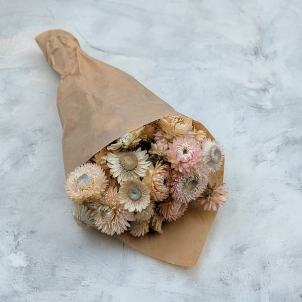 Tørret Helichrysum - (Helichrysum) - Lyserød