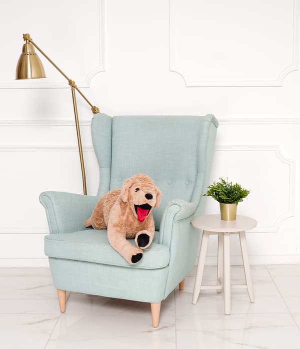 Golden retrieverhund, beige, 75 cm