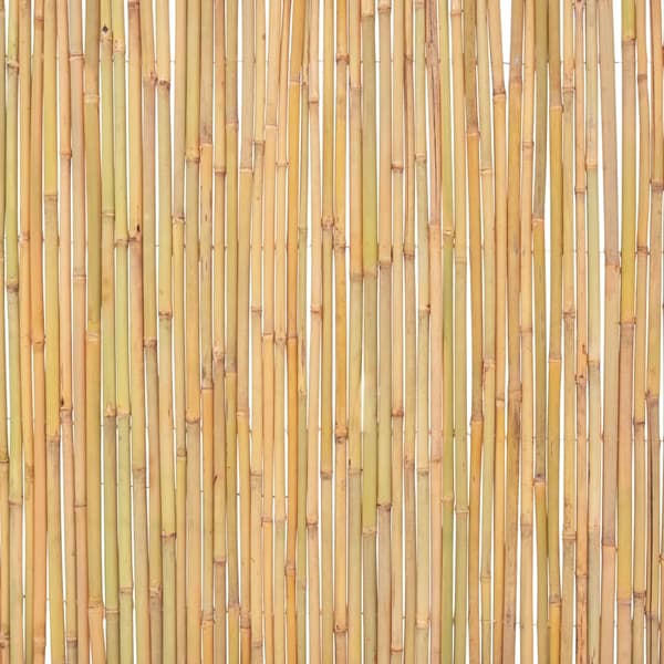vidaXL bambushegn 300 x 100 cm