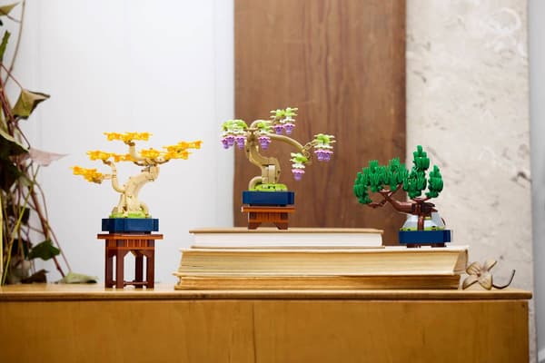 LEGO 10373 Kasvitieteellinen kokoelma