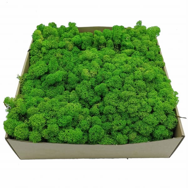 Lavmos - Alpin - Renset - Lysegrøn 500g NETTO