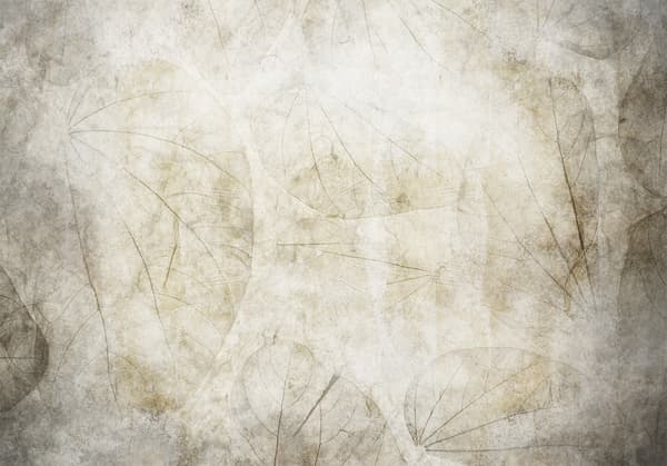 Fototapet - Beige mumlen