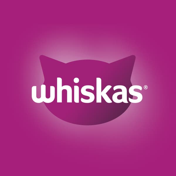 Vådfoder til katte WHISKAS Classic godbidder i sauceblanding 40x85 g