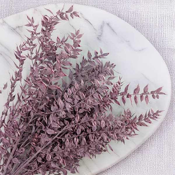 Stabiliseret Ruscus - (Ruscus) - Lilla Mat