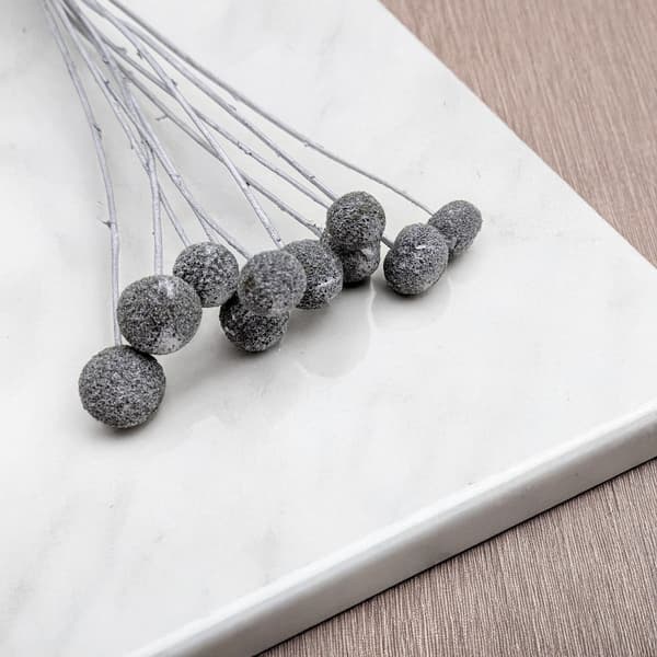 Torkad Craspedia - (Craspedia) - Silver - 10 st.
