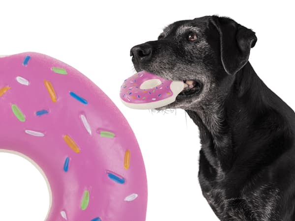 Donut-bidering (120)