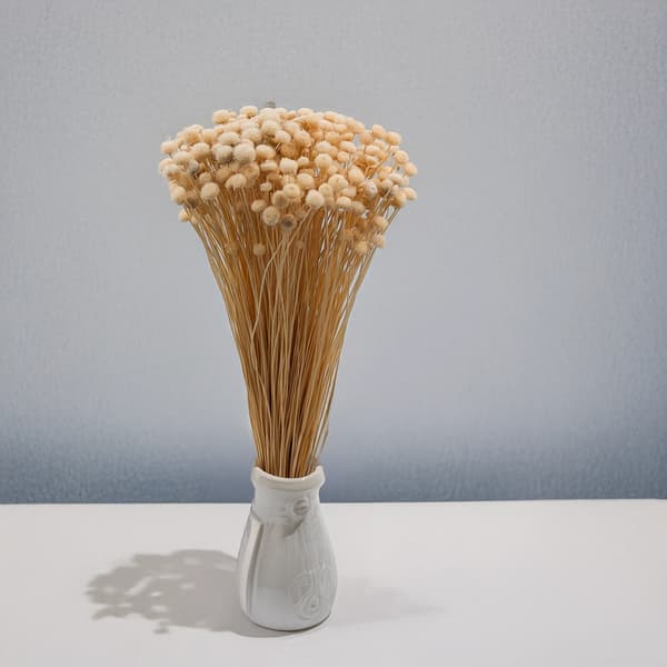 Botao Amarelino - (Amarelinho) - beige