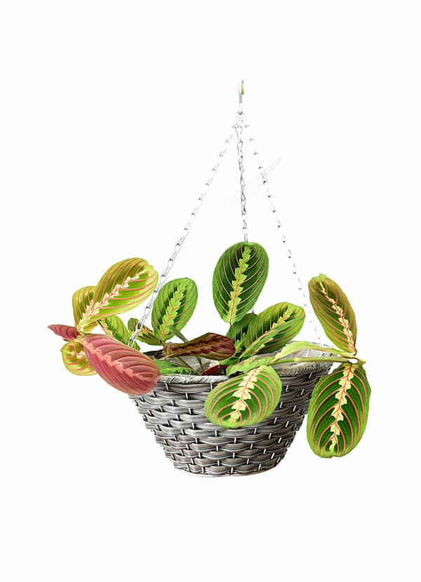 Hängande blomkorg, hängande planteringslåda, technorattan 21B035 PE