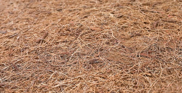 KOKOSMADRAS 120x60 (6cm) K-06