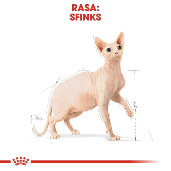 Royal Canin Sphynx Adult Torrfoder för Katter 2 kg