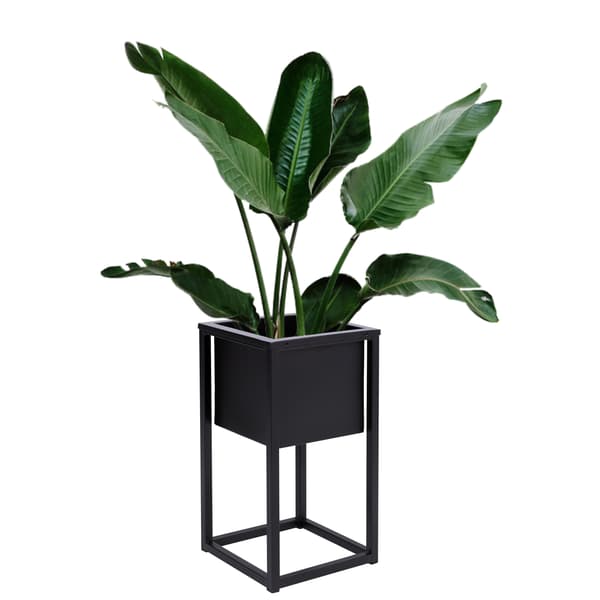 Concove Loft blomställning 40 cm svart