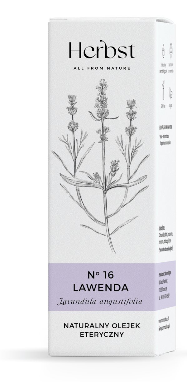 Herbst Eetterinen öljy Laventeli Grosso 10ml