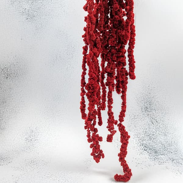 Stabiliserad sfärisk amarant - Amaranth - Röd