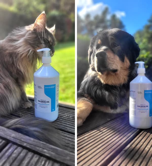 Lakseolie til hunde og katte Irodori Vet 1000ml