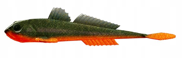 Gummibete Libra Lures GOBIO 18.6cm Vertical 111 Angry Carot