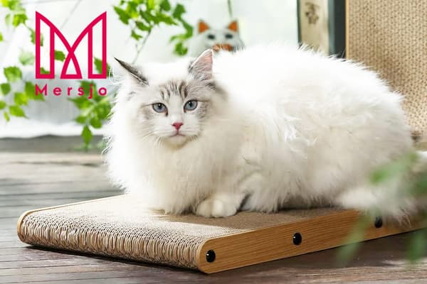 Hjørne kradsetræ til katte med bidsk bold 60 cm + katteurt