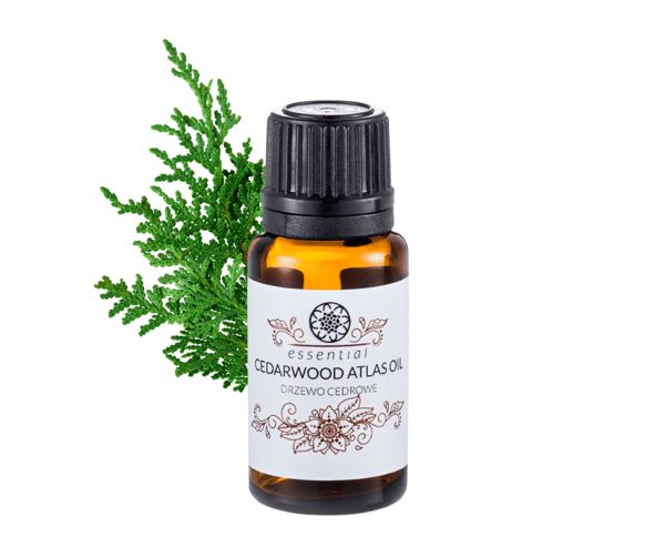 Yasmeen - Orientalisk doft eterisk olja cederträd 15 ml