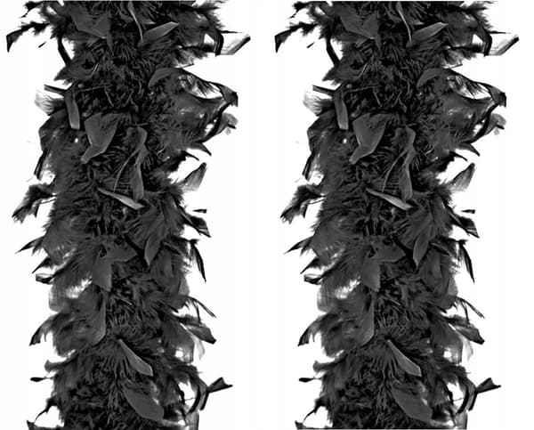 Boa 180 cm sort 1 stk.
