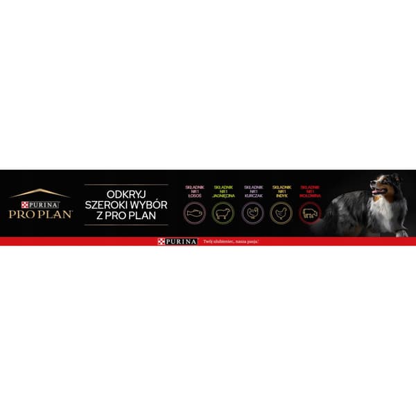 Purina ProPlan Adult Large Athletic torrfoder för hundar 14 kg