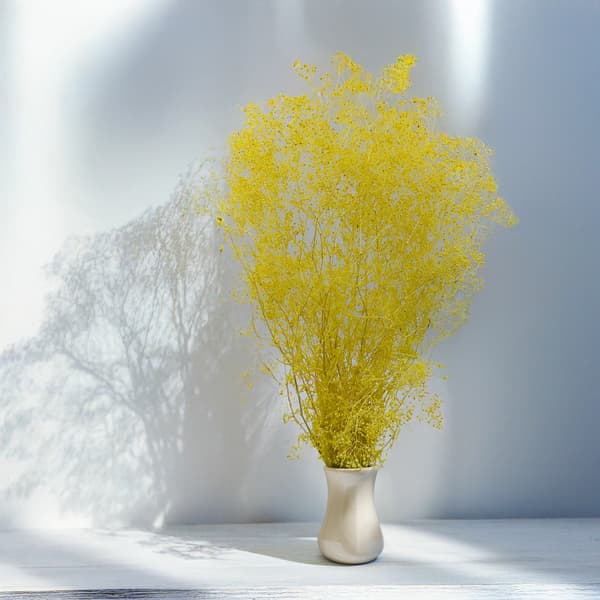 Stabiliserad Gypsophila MINI - (gypsophila) - Gul