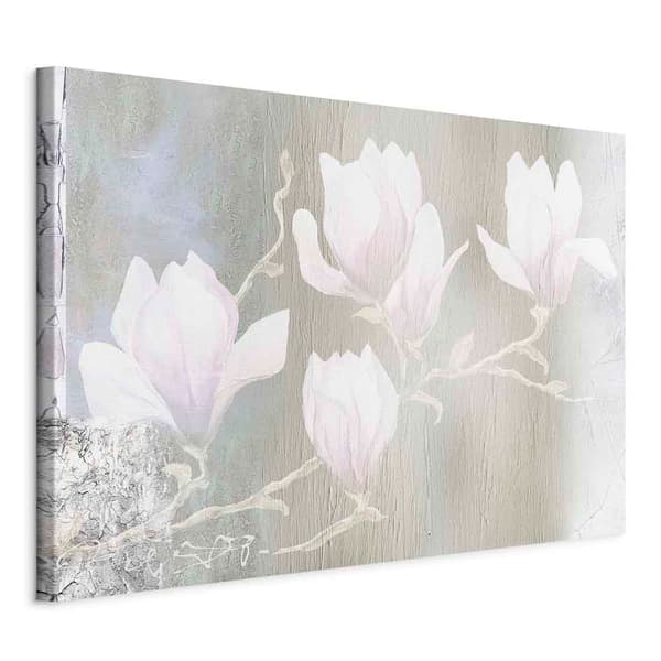 Billede - Hvide magnoliaer (etdelt) bredt