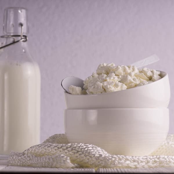 Bakteeriviljelmät raejuustolle 50 litraan maitoa