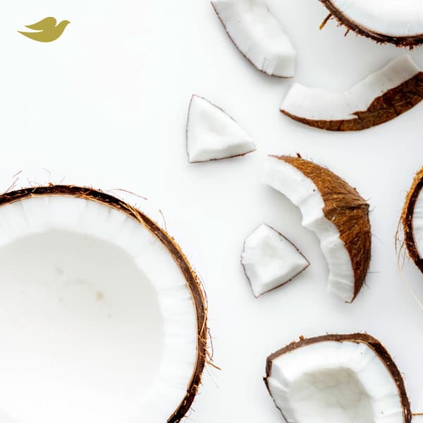 DOVE SPRAY COCO och JASMINE 150ml