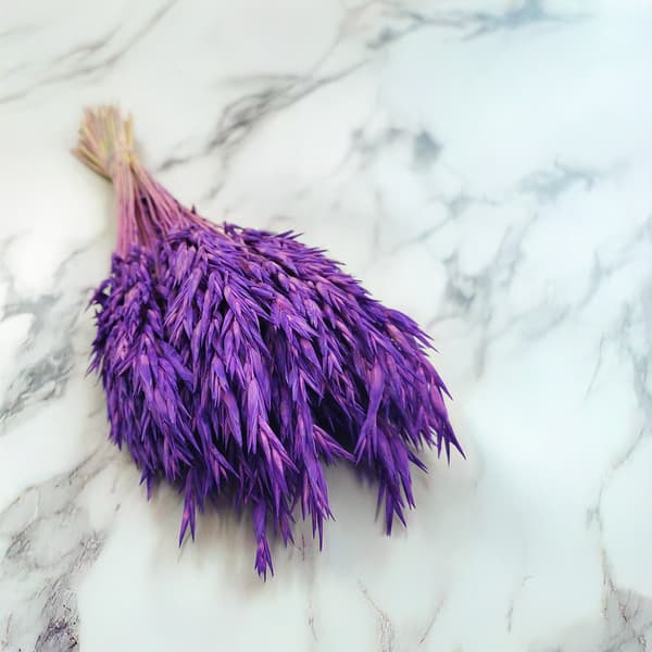 Kuivatut kaurat - violetti