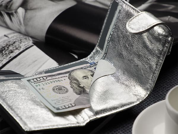SOLO Max plånbok i glänsande Regalia-läder i silver