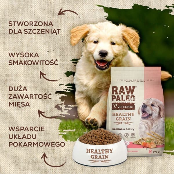VetExpert Raw Paleo HG Lax torrfoder för hundar 10 kg