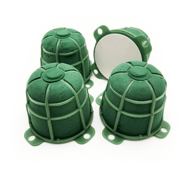 Kukkaissieni - Turtle MAXI - märkä