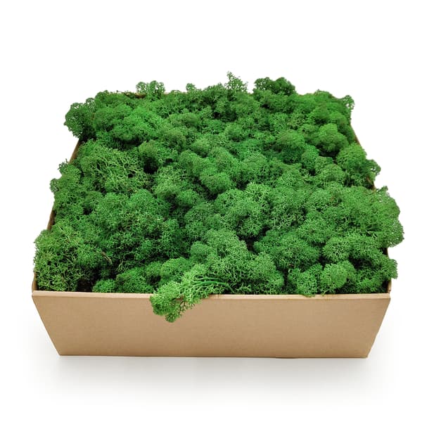 Renmossa - Norge - Skugggräs 50g NETTO