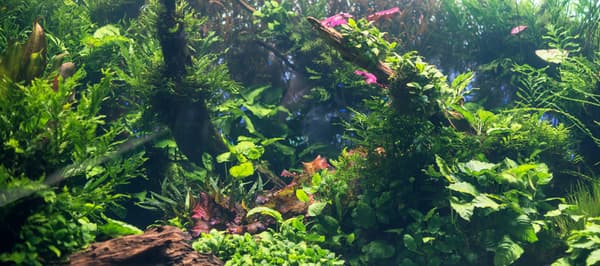 LED-belysning til akvarier LED-lampe til akvarier LED BEAM NANO SPECTRUM