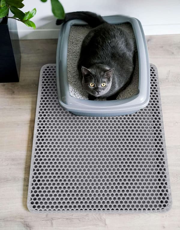 Catsy dörrmatta, 40x50 cm, grå