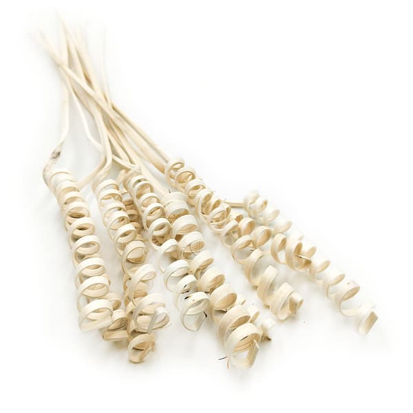 Cane Spring - bleget - 10 stk.