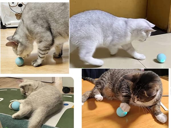 Automatisk boll för katt (200)