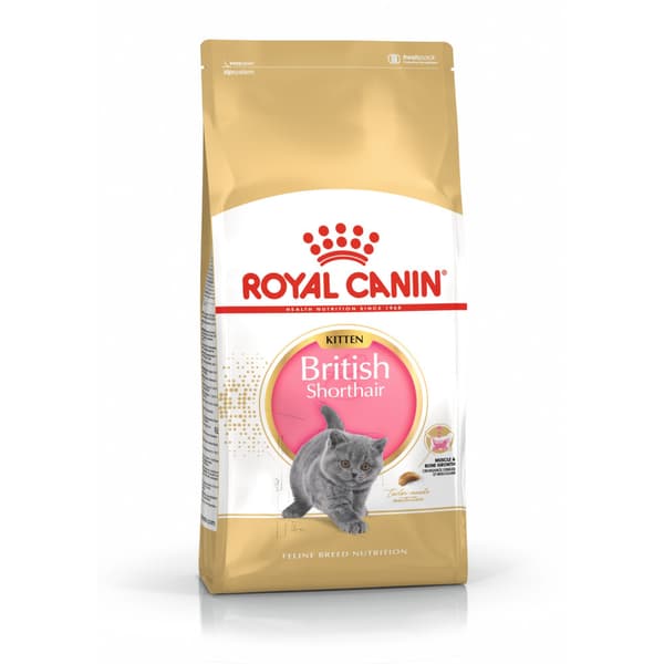 Royal Canin Brit Shorthair torrfoder för katter 2 kg