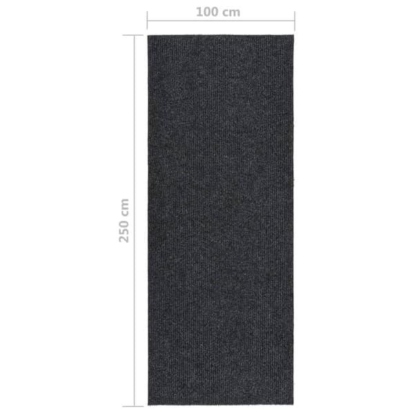 vidaXL smudsabsorberende tæppe, 100x250 cm, antracit