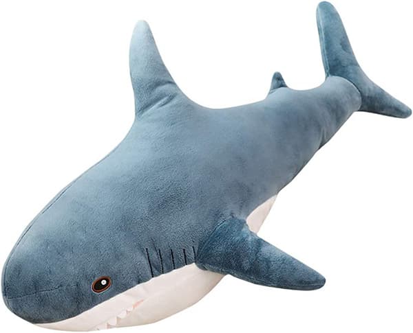 Hai 60 cm