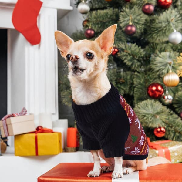 VINTERTRÖJA JULTRÖJA TRÖJA KLÄDER FÖR HUND OCH KATTER