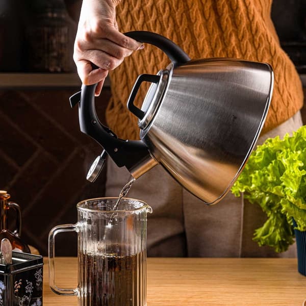 STÅLKEDEL MED FLØJTE 2,5L KLAUSBERG KB-7951
