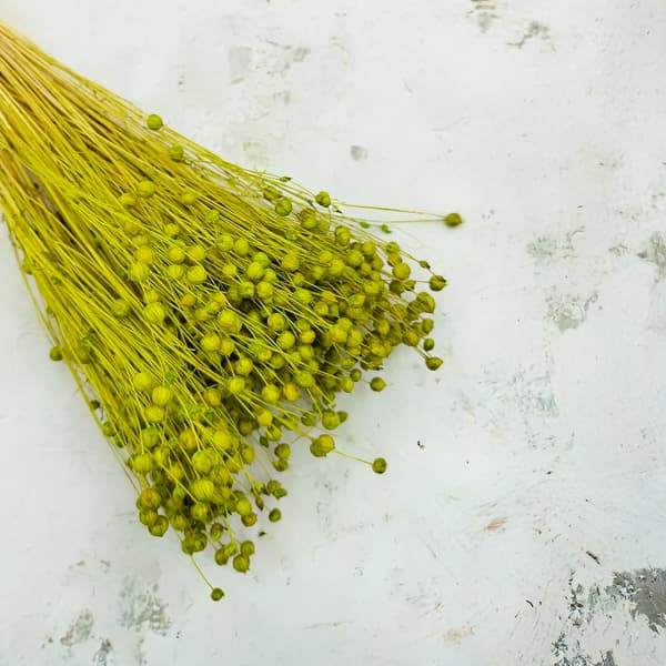 Kuivattu pellava - Seladon