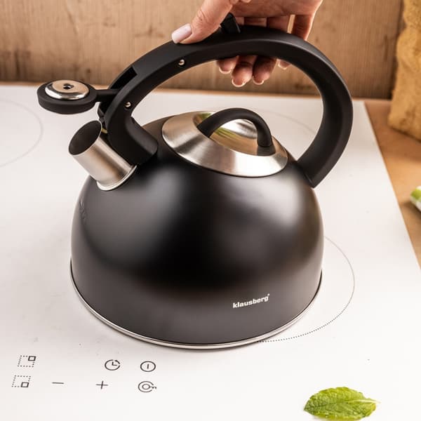 STÅLKEDEL MED FLØJTE 2,5L KLAUSBERG KB-7911