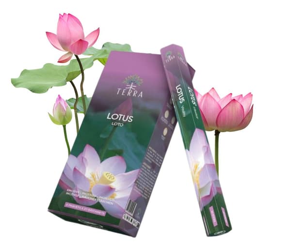 Terra Lotus rökelsepinnar 20 st
