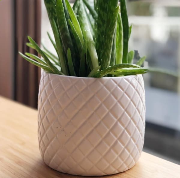 Keramisk blomkruka 13 cm vit