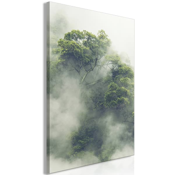 Kuva - Sumuinen Amazonia (yksiosainen) pysty