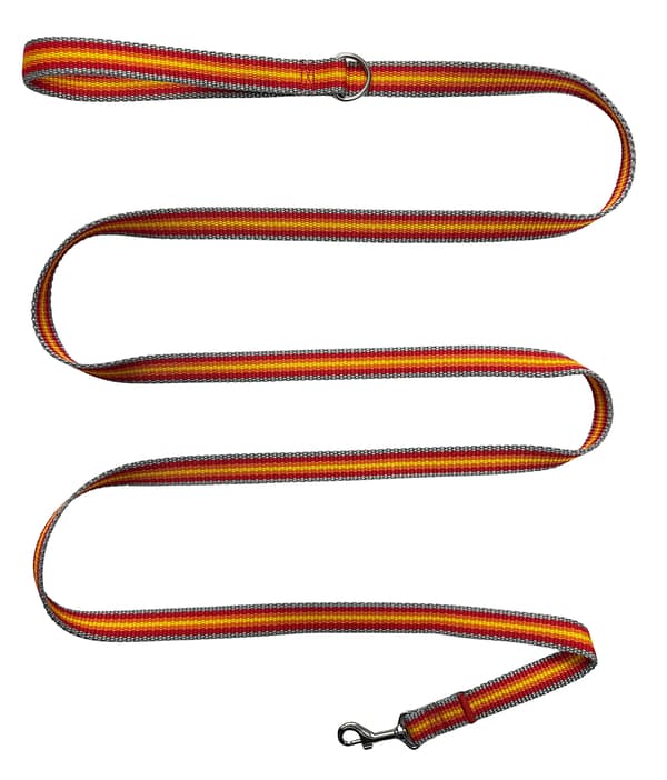 Klassisk hundesnor til gåture, solid, komfortabel, grå, orange, rød, M - 150cm